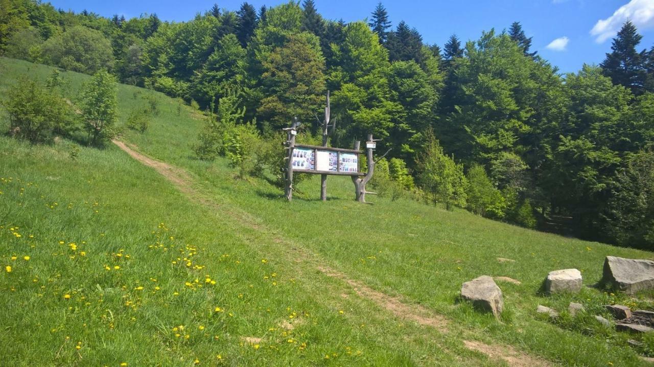 Pod Kamiennikiem Hotel Trzemesnia Buitenkant foto